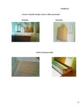 Lietuvos valstybės istorijos archyvo istorija ir šiuolaikinė būklė 18 puslapis