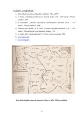 Lietuvos valstybės kovos su bolševikais 1918 – 1919 metais 12 puslapis