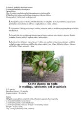 Maistas smegenims 12 puslapis