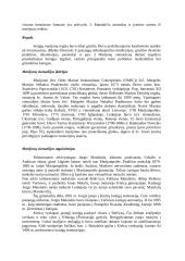 Marijonų vienuolynas 3 puslapis