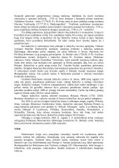 Marijonų vienuolynas 5 puslapis