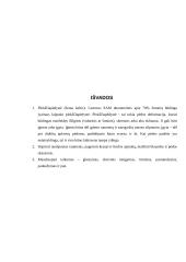 Masažas, esant plokščiapėdystei 12 puslapis