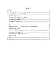 Masažas, esant plokščiapėdystei 3 puslapis