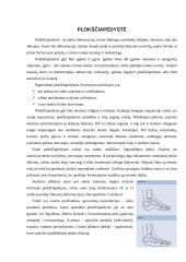 Masažas, esant plokščiapėdystei 4 puslapis