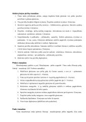 Masažas, esant plokščiapėdystei 7 puslapis