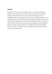 Mauritaniškas stilius 7 puslapis