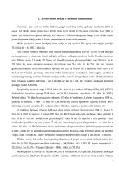 Medienos panaudojimas – kiek galima išauginti, kaip sudeginti, vidutinės vertės Lietuvai 3 puslapis