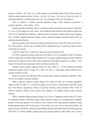 Medienos panaudojimas – kiek galima išauginti, kaip sudeginti, vidutinės vertės Lietuvai 4 puslapis