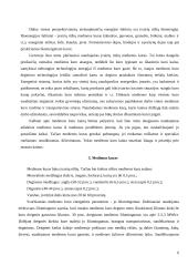 Medienos panaudojimas – kiek galima išauginti, kaip sudeginti, vidutinės vertės Lietuvai 6 puslapis