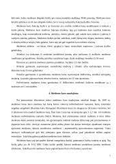 Medienos panaudojimas – kiek galima išauginti, kaip sudeginti, vidutinės vertės Lietuvai 7 puslapis