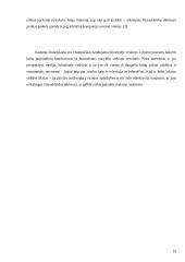 Medijų taikymas lobistinėje veikloje 16 puslapis