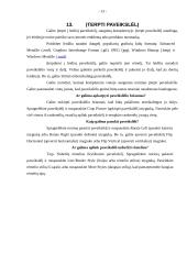 Microsoft Publisher taikymas 13 puslapis