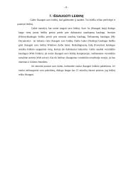 Microsoft Publisher taikymas 8 puslapis