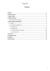 Miego sutrikimai 2 puslapis