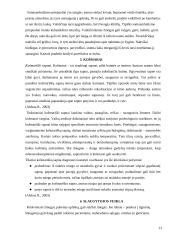 Miego sutrikimai 13 puslapis