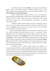 Mitochondrijų DNR, mitochondrijų paveldimumas ir mitochondrijų ligos 2 puslapis