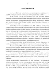 Mitochondrijų DNR, mitochondrijų paveldimumas ir mitochondrijų ligos 4 puslapis