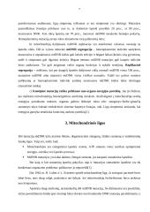 Mitochondrijų DNR, mitochondrijų paveldimumas ir mitochondrijų ligos 6 puslapis