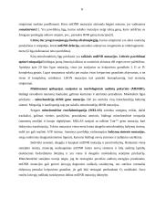 Mitochondrijų DNR, mitochondrijų paveldimumas ir mitochondrijų ligos 7 puslapis