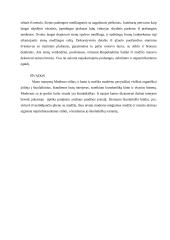 Modernas Rusijoje. Maskva 4 puslapis