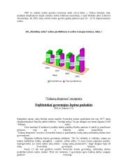 Nafta ir jos eksploatavimas Lietuvoje 8 puslapis