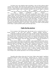 Nafta ir jos eksploatavimas Lietuvoje 9 puslapis