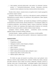 Narkotikų vartojimo prevencija vyresniame mokykliniame amžiuje 12 puslapis