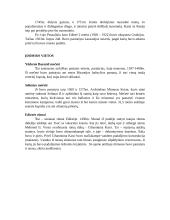 Osmanų imperijos sostinės 4 puslapis