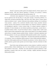 Pakartotinis popierius perdirbimas ir gaunami produktai 3 puslapis