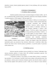 Pakartotinis popierius perdirbimas ir gaunami produktai 5 puslapis