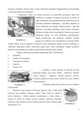 Pakartotinis popierius perdirbimas ir gaunami produktai 6 puslapis