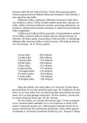 Pasaulio kalbos ir jų gausa 3 puslapis