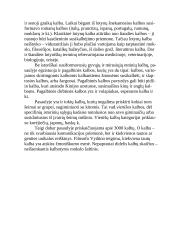 Pasaulio kalbos ir jų gausa 7 puslapis