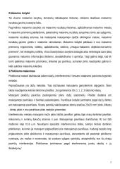 Paviršiaus šiurkštumo matavimai 2 puslapis