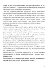 Paviršiaus šiurkštumo matavimai 3 puslapis