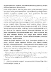 Paviršiaus šiurkštumo matavimai 4 puslapis