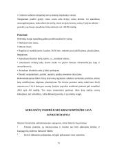 Pediatrinė kineziterapija. Širdies ir kraujagyslių sistemos ligos 13 puslapis