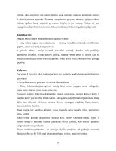 Pediatrinė kineziterapija. Širdies ir kraujagyslių sistemos ligos 17 puslapis