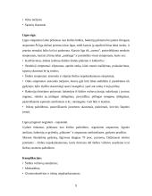 Pediatrinė kineziterapija. Širdies ir kraujagyslių sistemos ligos 9 puslapis