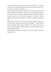 Perkūnas ir žaibas 7 puslapis