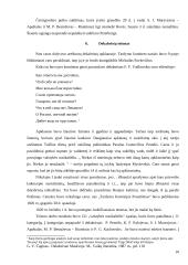 Pietų sąjunga dekabristų sukilime 10 puslapis