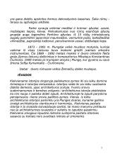 Plungės dvaras 5 puslapis