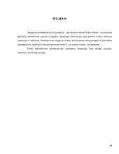 Priešoperacinio periodo slaugos ypatumai 19 puslapis