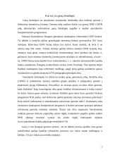 Principinis žmogaus ir pelės genų žemėlapių palyginimas 2 puslapis