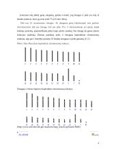 Principinis žmogaus ir pelės genų žemėlapių palyginimas 4 puslapis