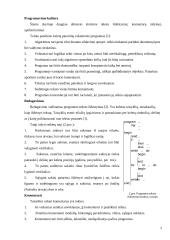 Programavimo kultūra 2 puslapis