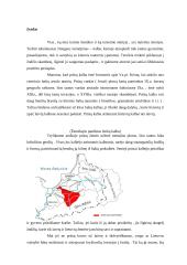 Prūsų kalba 3 puslapis