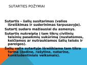 KOMERCINĖS SUTARTYS (KONTRAKTAI 3 puslapis