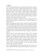 Reformacija Lietuvoje. Liuteroniškas ir kalvinistiškas periodai. Reformacijos susiskaldymas 3 puslapis