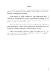 Renesanso kultūros raida 2 puslapis